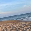 amandaguerra379